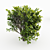 Cherry Laurel Hedge: Versatile and Realistic 3D model small image 2