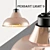 Vibrant Pendant Light Fixture 3D model small image 1