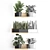 Vertical Garden Collection: Bromelia, Monstera, Zamioculcas 3D model small image 3