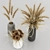 Elegant Dry Plant Bouquets 3D model small image 2