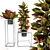 Tropical Vibes: Croton Plants Set 3D model small image 1