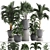 Exotic Indoor Plant Collection 3D model small image 1