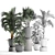 Exotic Indoor Plant Collection 3D model small image 3