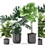 Plants 163: Monstera, Rubber & Ficus 3D model small image 1