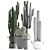 Exotic Cactus Collection - 411 Varieties 3D model small image 3