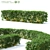 Golden Hedge | Cornus sericea `Flaviramea` 3D model small image 1