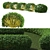 Flaviramea Cornus Sericea Hedge 3D model small image 3