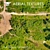 Aerial Landscape Texture 3D model small image 3