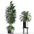 Botanical Oasis: Plants Collection 206 3D model small image 3