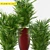 Lush Greenery Bundle - 264 Realistic Plant Models 3D model small image 3