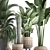 Exotic Plant Collection: Palms, Cacti, and More 3D model small image 2