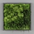 Eco Green Wall Solution 3D model small image 1