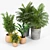 Tula Ring Planters: Stylish Pottery Barn Set 3D model small image 2