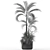 207 Plants Collection: Versatile & Vibrant 3D model small image 2