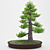 Exquisite Bonsai Tree - Lifelike & Intricate 3D model small image 1