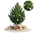 3D Christmas Tree Model 3D model small image 1