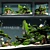  Majestic Kingdom: Aquarium Snail King 3D model small image 1