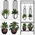 Modern Plant Trio Set 3D model small image 1