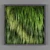 Vertical Green Wall: Фитостена 026 3D model small image 1
