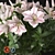 Elegant Lily Bouquet Vases 3D model small image 3
