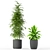 Lush Greenery Collection 211 3D model small image 3