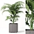Tropical Charm: Cape Collection Palm Tree 3D model small image 1