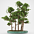 Elegant Bonsai Tree Sculpture 3D model small image 1