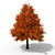 Forest Majesty 3D Tree 3D model small image 1