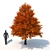 Forest Majesty 3D Tree 3D model small image 4