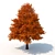 Forest Majesty 3D Tree 3D model small image 5