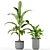 Nature's Haven: 212 Plant Collection 3D model small image 3