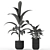 Nature's Haven: 212 Plant Collection 3D model small image 5