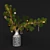 Festive Pine Branches in Vase 3D model small image 1