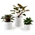 Modern Concrete Planters Set 3D model small image 1