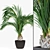 Tropical Oasis: Realistic Decorative Palms 3D model small image 1