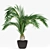 Tropical Oasis: Realistic Decorative Palms 3D model small image 2