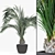 Tropical Oasis: Realistic Decorative Palms 3D model small image 3