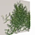 Ivy Corner English Wall Decor 3D model small image 2