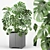 Tropical Monstera Pot Plant 3D model small image 1