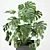 Tropical Monstera Pot Plant 3D model small image 2