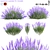 Lavandula 5model: Realistic Lavender Archive 3D model small image 1