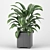 Introducing: Potted Plant from the CAPE Collection 3D model small image 1