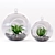 Mini Decor Plants Set | Hanging or Tabletop Vases 3D model small image 1