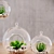 Mini Decor Plants Set | Hanging or Tabletop Vases 3D model small image 2