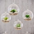 Mini Decor Plants Set | Hanging or Tabletop Vases 3D model small image 3
