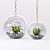 Mini Decor Plants Set | Hanging or Tabletop Vases 3D model small image 4