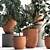 Monstera Plant Collection: Exotic Houseplants, Decorative Set 3D model small image 2