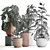 Monstera Plant Collection: Exotic Houseplants, Decorative Set 3D model small image 4
