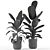 Tropical Oasis: Plant Collection 3D model small image 5