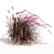 Vibrant Red Pennisetum in Breezy Dance 3D model small image 5